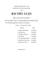 Phân tích và hoạch định tài chính công ty cổ phần hoàng anh gia lai (hag) 