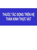 thuốc tác động trên hệ thần kinh thực vật 