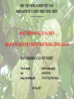 PHÁT TRIỂN sản XUẤT NA TRÊN địa bàn xã THÁI NIÊN, HUYỆN bảo THẮNG, TỈNH lào CAI 