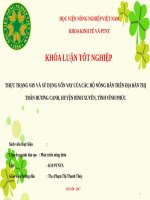 THỰC TRẠNG VAY và sử DỤNG vốn VAY của các hộ NÔNG dân TRÊN địa bàn THỊ TRẤN HƯƠNG CANH, HUYỆN BÌNH XUYÊN, TỈNH VĨNH PHÚC 