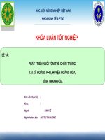 phát triển nuôi tôm thẻ chân trắng tại xã hoằng phụ, huyện hoằng hóa, tỉnh thanh hóa 