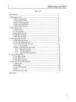 chiến lược quảng cáo sản phẩm sữa vinamilk 