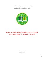 Báo cáo công nghệ chế biến các sản phẩm nhũ tương thịt và thịt tái cấu trúc
