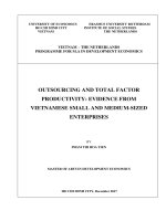 Outsoursing and total factor productivity evidence from vietnamese small and medium sized enterprises 