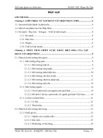 Phân tích chiến lược khác biệt hóa của tập đoàn tân hiệp phát 