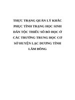 THỰC TRẠNG QUẢN lý KHẮC PHỤC TÌNH TRẠNG học SINH dân tộc THIỂU số bỏ học ở các TRƯỜNG TRUNG học cơ sở HUYỆN lạc DƯƠNG TỈNH lâm ĐỒNG