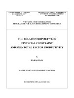 The relationship between financial constraint and SMEs total factor productivity 
