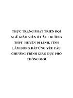 THỰC TRẠNG PHÁT TRIỂN đội NGŨ GIÁO VIÊN ở các TRƯỜNG THPT  HUYỆN DI LINH, TỈNH lâm ĐỒNG đáp ỨNG yêu cầu CHƯƠNG TRÌNH GIÁO dục PHỔ THÔNG mới