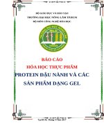 Protein đậu nành và các sản phẩm dạng gel
