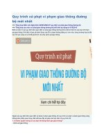 Quy trình xử phạt vi phạm giao thông đường bộ mới nhất
