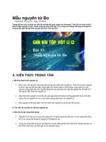 Mẫu nguyên tử bo