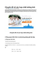 Chuyên đề về các hợp chất lưỡng tính