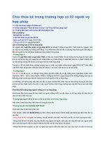 Chia thừa kế trong trường hợp có 02 người vợ hợp pháp