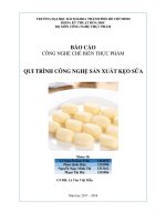 BÁO CÁO TIỂU LUẬN MÔN CÔNG NGHỆ CHẾ BIẾN THỰC PHẨM