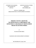 Productivity growth, technological progress and efficiencychanges in vietnamese high tech industries 