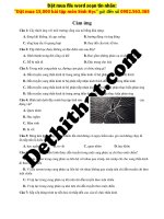 16 câu trắc nghiệm chương cảm ứng   phạm thị hương   file word có lời giải chi tiết image marked image marked 