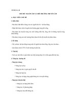 giáo án vật  lý 7 chủ đề nam hoc 2018