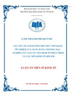 Các yếu tố ảnh hưởng đến mức xếp hạng tín nhiệm của ngân hàng thương mại   nghiên cứu tại các nền kinh tế phát triển và các nền kinh tế mới nổi 