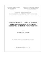 Effects of social capital on self rated life satisfaction among residents evidence from vietnam 