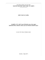 Nghiên cứu chế tạo gốm hệ al2o3 tio2 mgo định hướng ứng dụng trong chế tạo sản phẩm chống đạn 