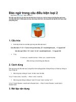 Đảo ngữ trong câu điều kiện loại 2