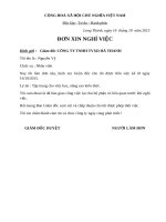 MẪU ĐƠN XIN NGHỈ VIỆC MỚI NHẤT.DOC