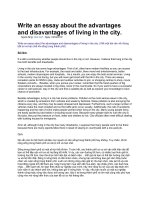 Write an essay about the advantages and disavantages of living in the city