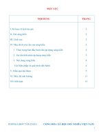 sáng kiến kinh nghiệm tiếng anh tiểu học