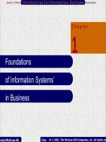 Slide introduction to information ssstem 10th obien chap001 eng 