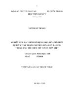 Nghiên cứu đặc điểm mô bệnh học, hóa mô miễn dịch và tình trạng methyl hóa gen RASSF1A trong ung thư biểu mô tuyến tiền liệt (tt) 