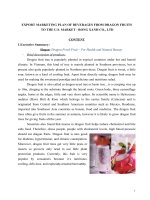 LẬP kế HOẠCH MARKETING XUẤT KHẨU nước TRÁI cây SANG THỊ TRƯỜNG mỹ EXPORT MARKETING PLAN OF BEVERAGES FROM DRAGON FRUITS 