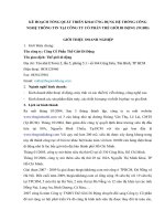 Kế hoạch tổng quát triển khai ứng dụng hệ thống công nghệ thông tin tại công ty cổ phần thế giới di động (TGDĐ) 