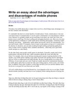 Write an essay about the advantages and disavantages of mobile phones