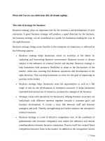 Phân tích vai trò của chiến lược đối với doanh nghiệp  e 