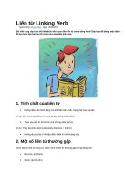 Liên từ linking verb