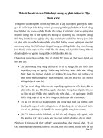 Phân tích vai trò của chiến lược trong sự phát triển của tập đoàn vietel 