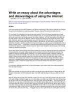 Write an essay about the advantages and disavantages of using the internet