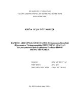 ĐÁNH GIÁ KHẢ NĂNG KÍ SINH CỦA ONG trichogramma chilonis ishii TRÊN TRỨNG NGÀI GẠO