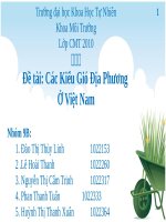 thuyết trinh Các Kiểu Gió Địa Phương  Ở Việt Nam