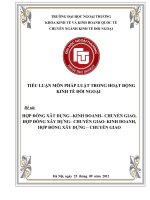 TIỂU LUẬN MÔN PHÁP LUẬT TRONG HOẠT ĐỘNG KINH TẾ ĐỒI NGOẠI