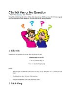 Câu hỏi yes or no question
