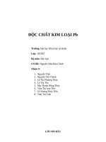 Tổng hợp ĐỘC CHẤT KIM LOẠI Pb