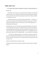 PHIẾU ĐIỀU TRA VỀ VẤN ĐỀ SỬ DỤNG TIẾNG ANH TRONG GIAO TIẾP CỦA SINH VIÊN HIỆN NAY