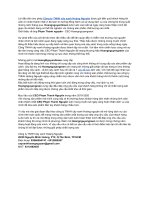 Tổng quan về công ty cây xanh hoàng nguyên green