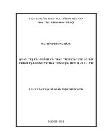 Quản trị tài chính và phân tích các chỉ số tài chính tại công ty trách nhiệm hữu hạn lavie