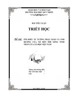 Tieu luan   triet hoc   tư tưởng phật giáo và ảnh hưởng của nó đối với xã hội việt nam