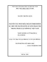 Nguyên tắc phân hóa trách nhiệm hình sự đối với người dưới 18 tuổi phạm tội trong pháp luật hình sự việt nam 