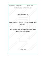 Nghiên cứu sự làm việc của móng băng trên sườn dốc (tt) 