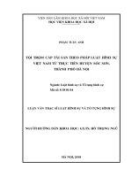 Tội trộm cắp tài sản theo pháp luật hình sự việt nam từ thực tiễn huyện sóc sơn, thành phố hà nội 