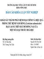 KHẢO SÁT THÀNH PHẦN BỆNH HẠI CHÍNH VÀ HIỆU QUẢ  PHÒNG TRỪ BỆNH NẤM HỒNG (Corticium salmonicolor) HẠI CAO SU TRÊN ĐẤT ĐỎ ĐỒNG NAI CỦA MỘT SỐ LOẠI THUỐC HOÁ HỌC